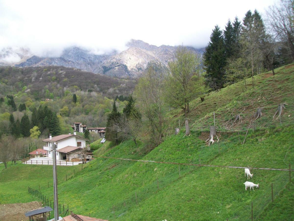 B&B In Fattoria Frisanco Экстерьер фото