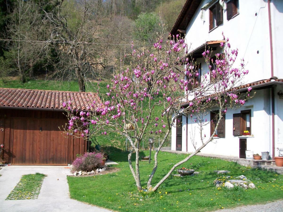 B&B In Fattoria Frisanco Экстерьер фото