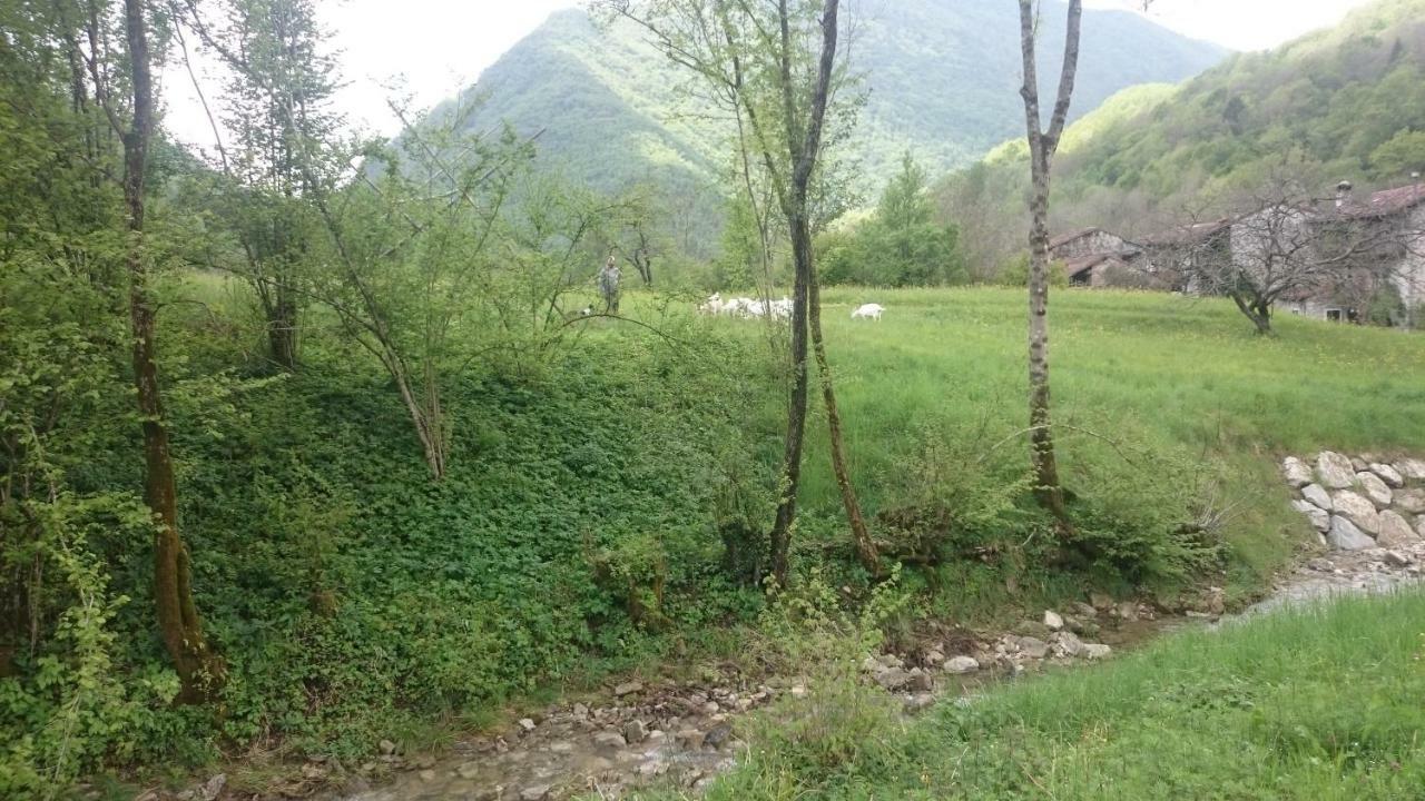 B&B In Fattoria Frisanco Экстерьер фото